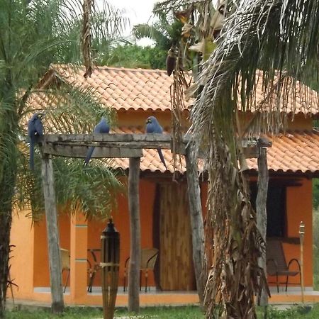Pousada Reserva Ecologica Jaguar Poconé Exterior photo